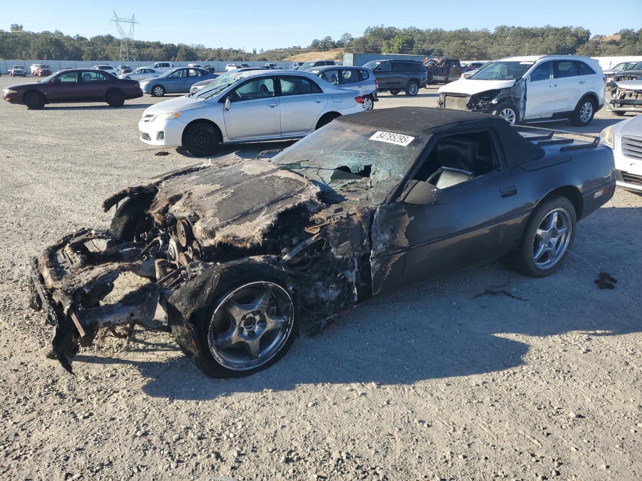 1989 Chevrolet Corvette