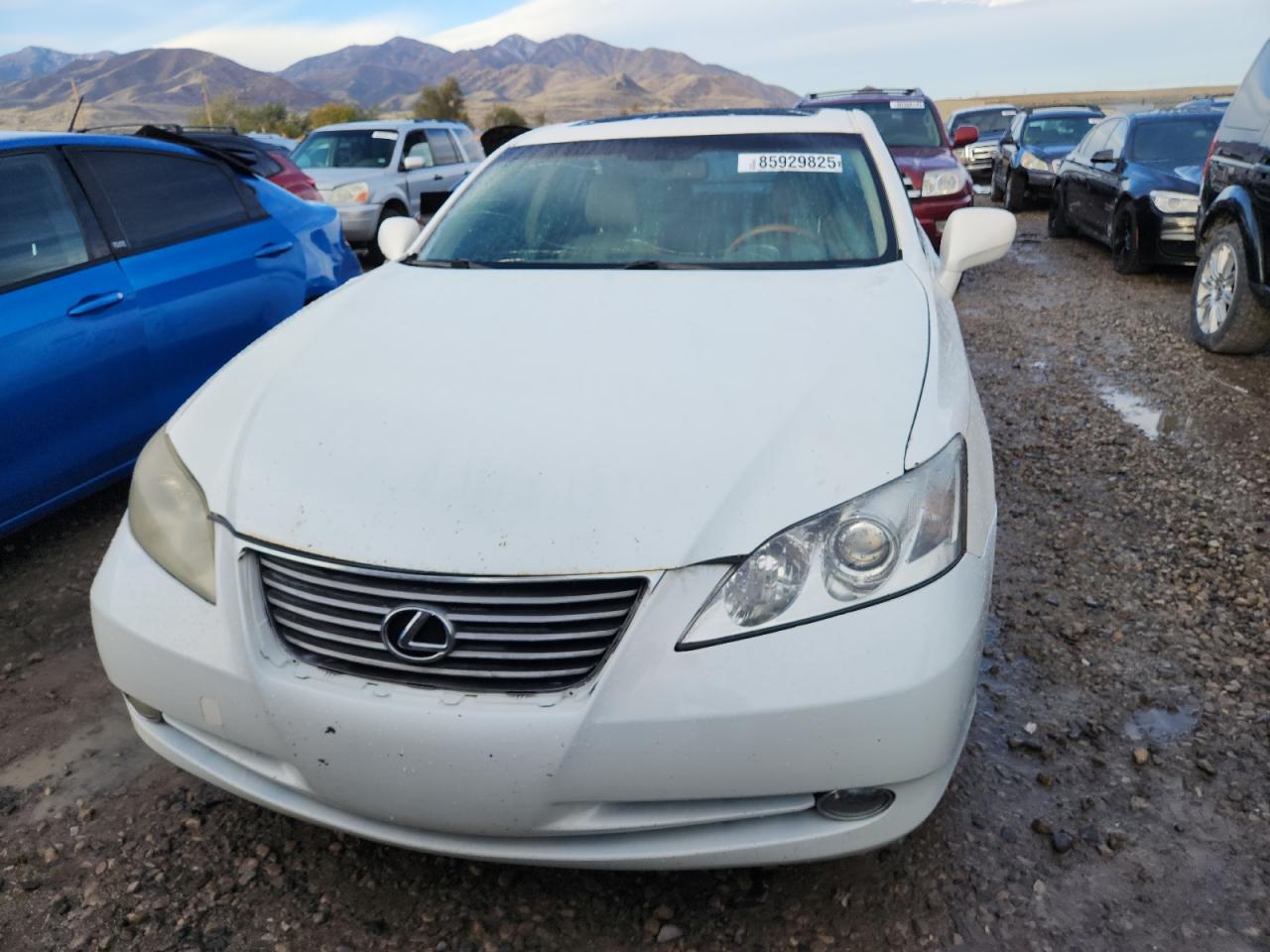 2007 Lexus Es 350 VIN: JTHBJ46G772018980 Lot: 85929825