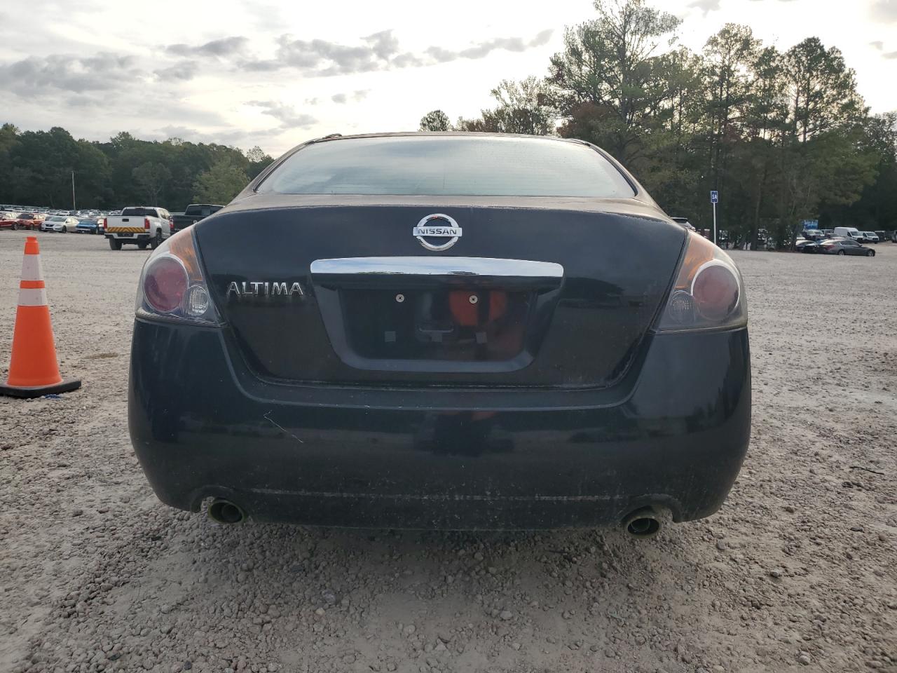 2009 Nissan Altima 2.5 VIN: 1N4AL21E89N547220 Lot: 85649655