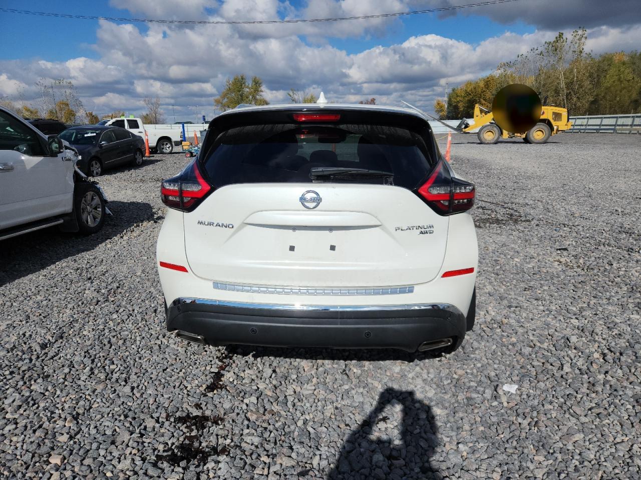2020 Nissan Murano Platinum VIN: 5N1AZ2DS0LN112611 Lot: 90843825