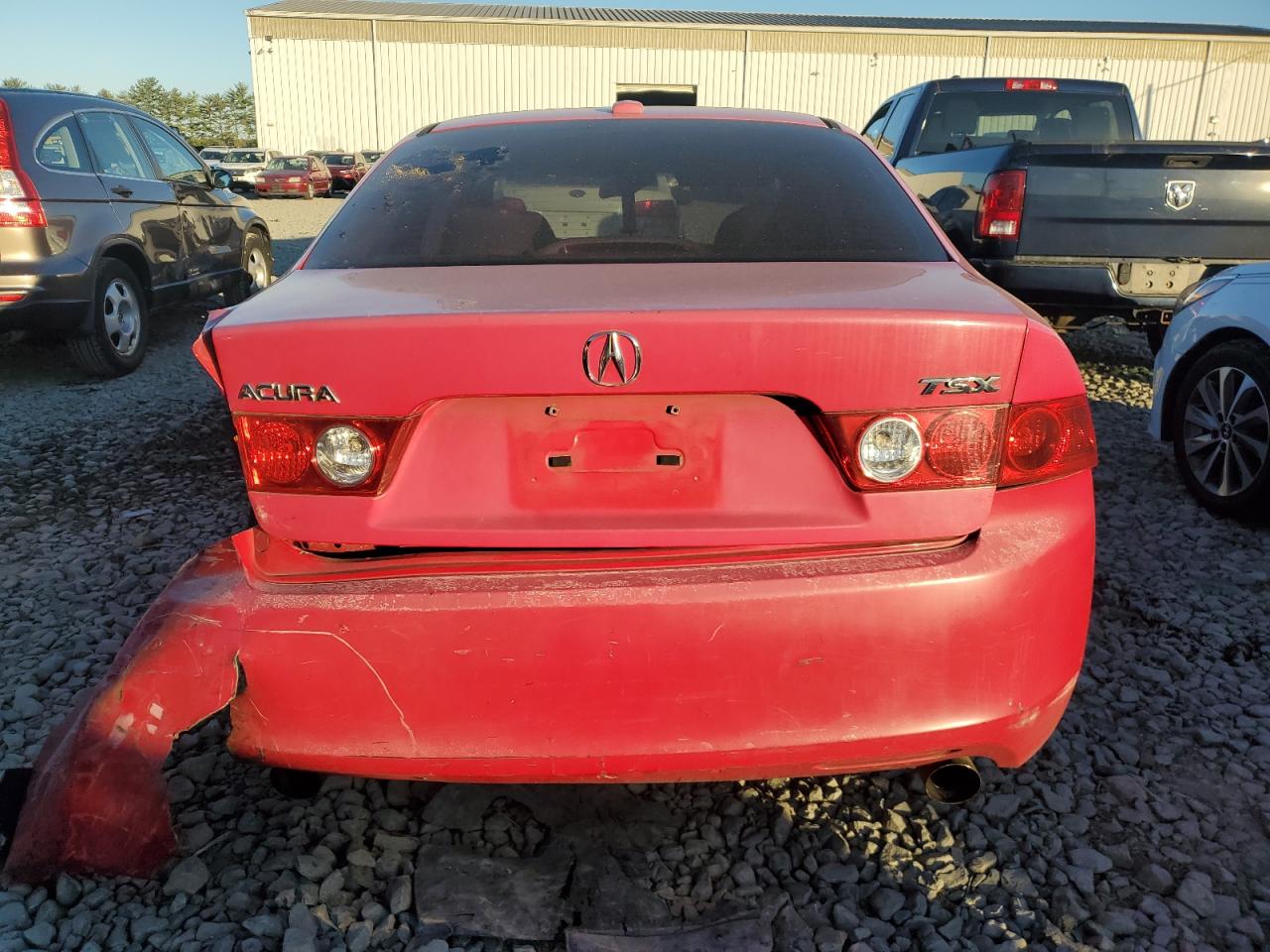 2005 Acura Tsx VIN: JH4CL96885C016151 Lot: 84538785