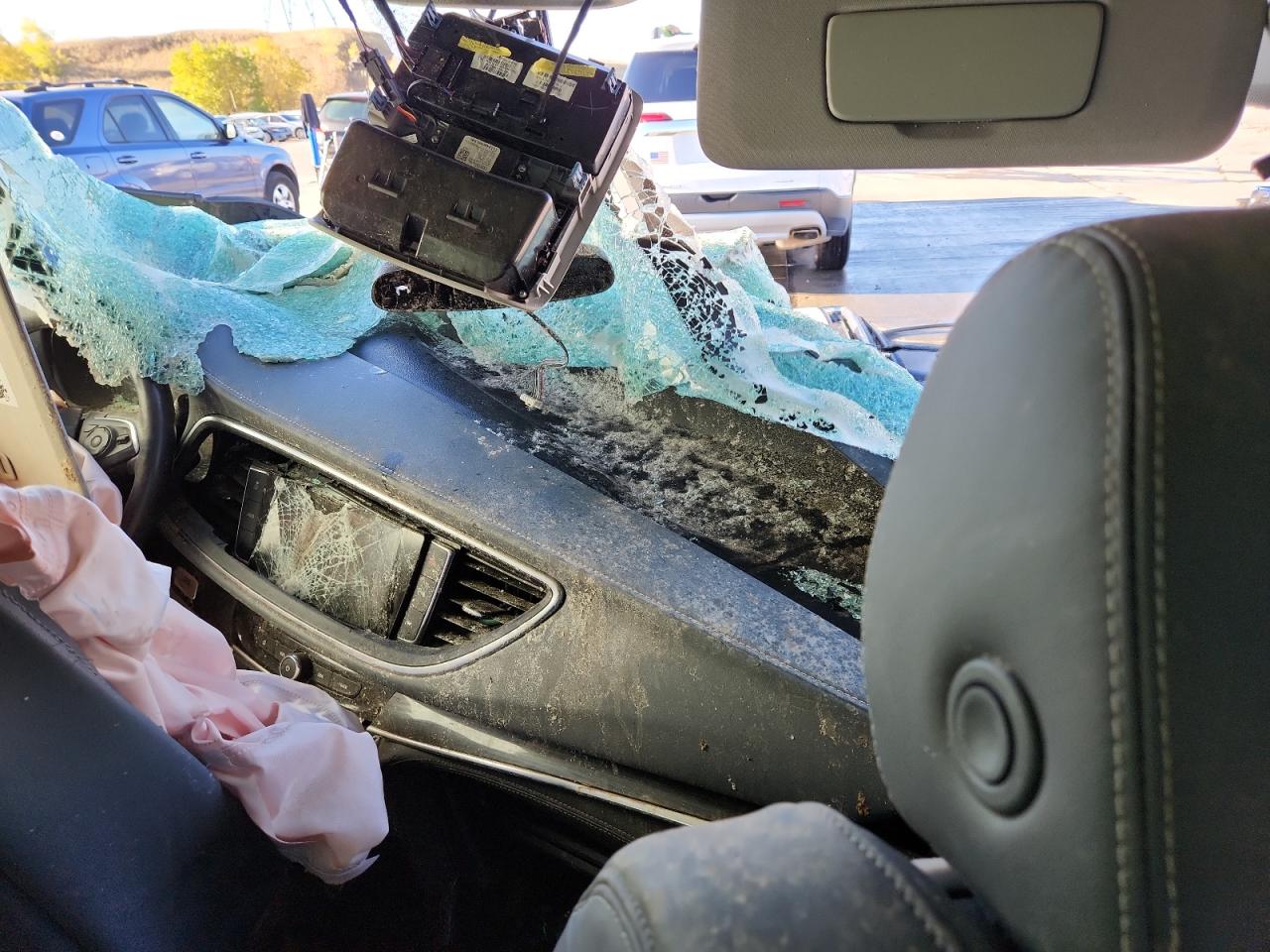 2019 Buick Enclave Premium VIN: 5GAEVBKW3KJ202172 Lot: 85841735