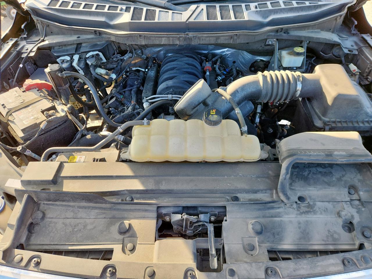 2021 Ford F150 VIN: 1FTMF1C54MKE23302 Lot: 85829395