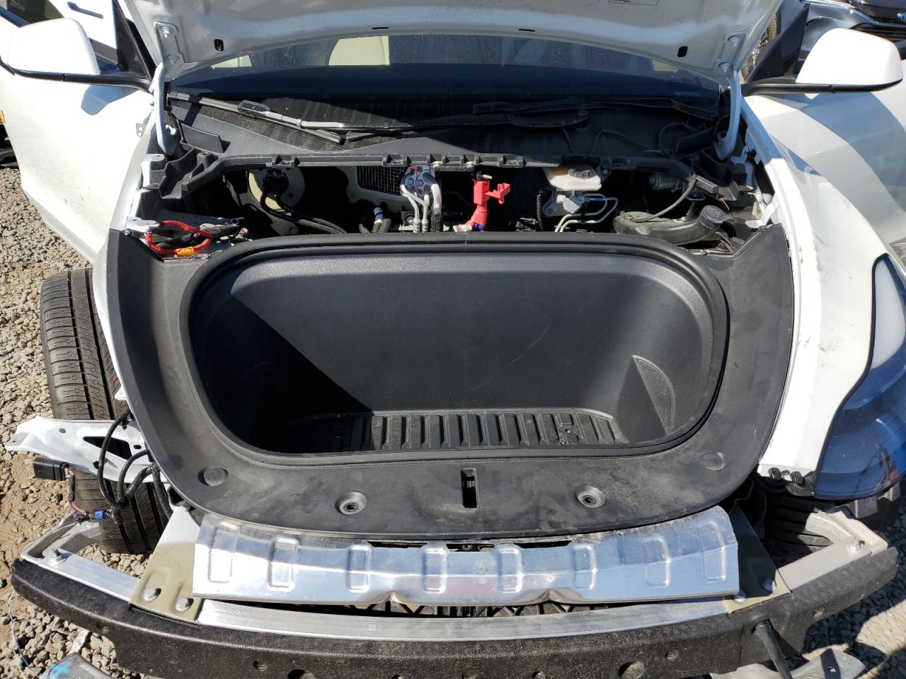 2024 Tesla Model Y VIN: 7SAYGDEF0RF021676 Lot: 81238095