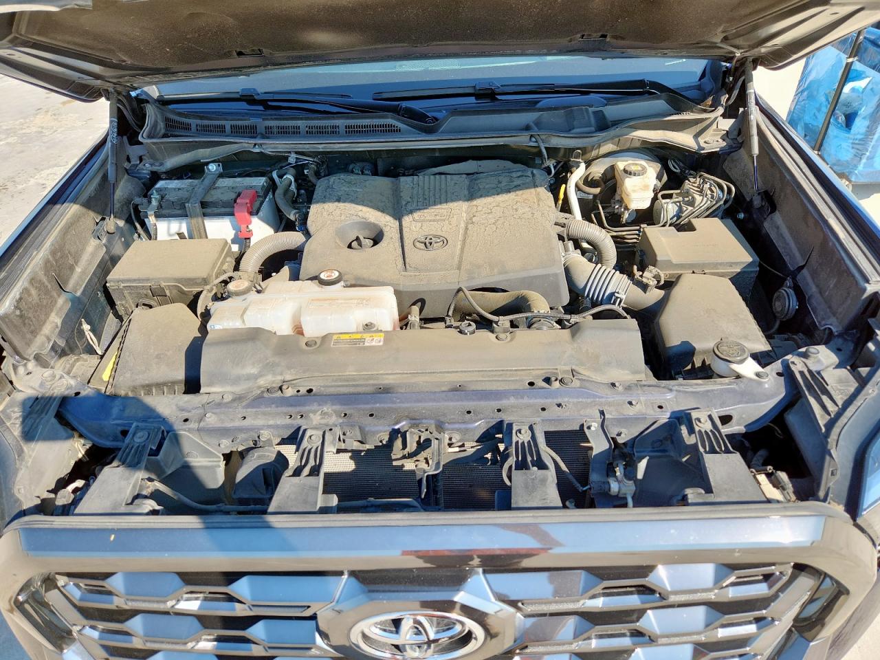 2023 Toyota Tundra Crewmax Platinum VIN: 5TFNA5DB2PX098705 Lot: 85874895