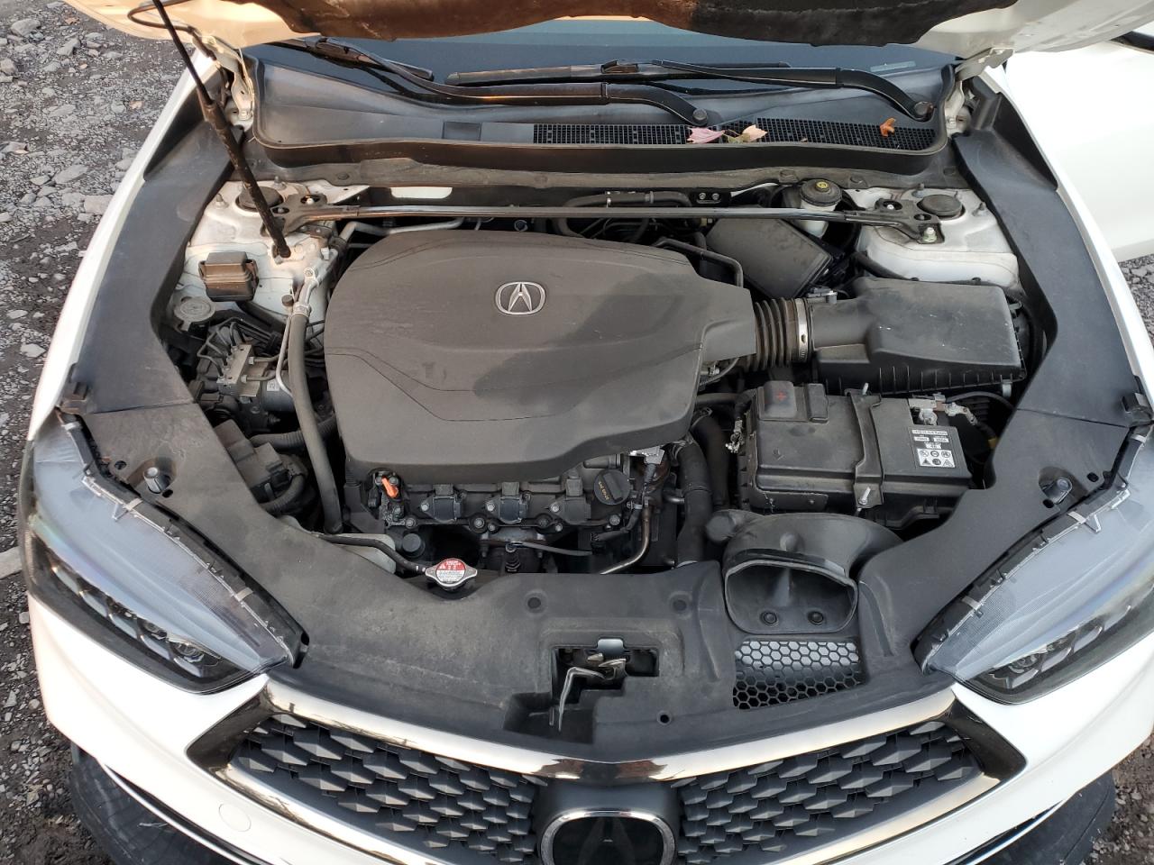 2018 Acura Tlx Tech+A VIN: 19UUB2F6XJA013113 Lot: 82283195