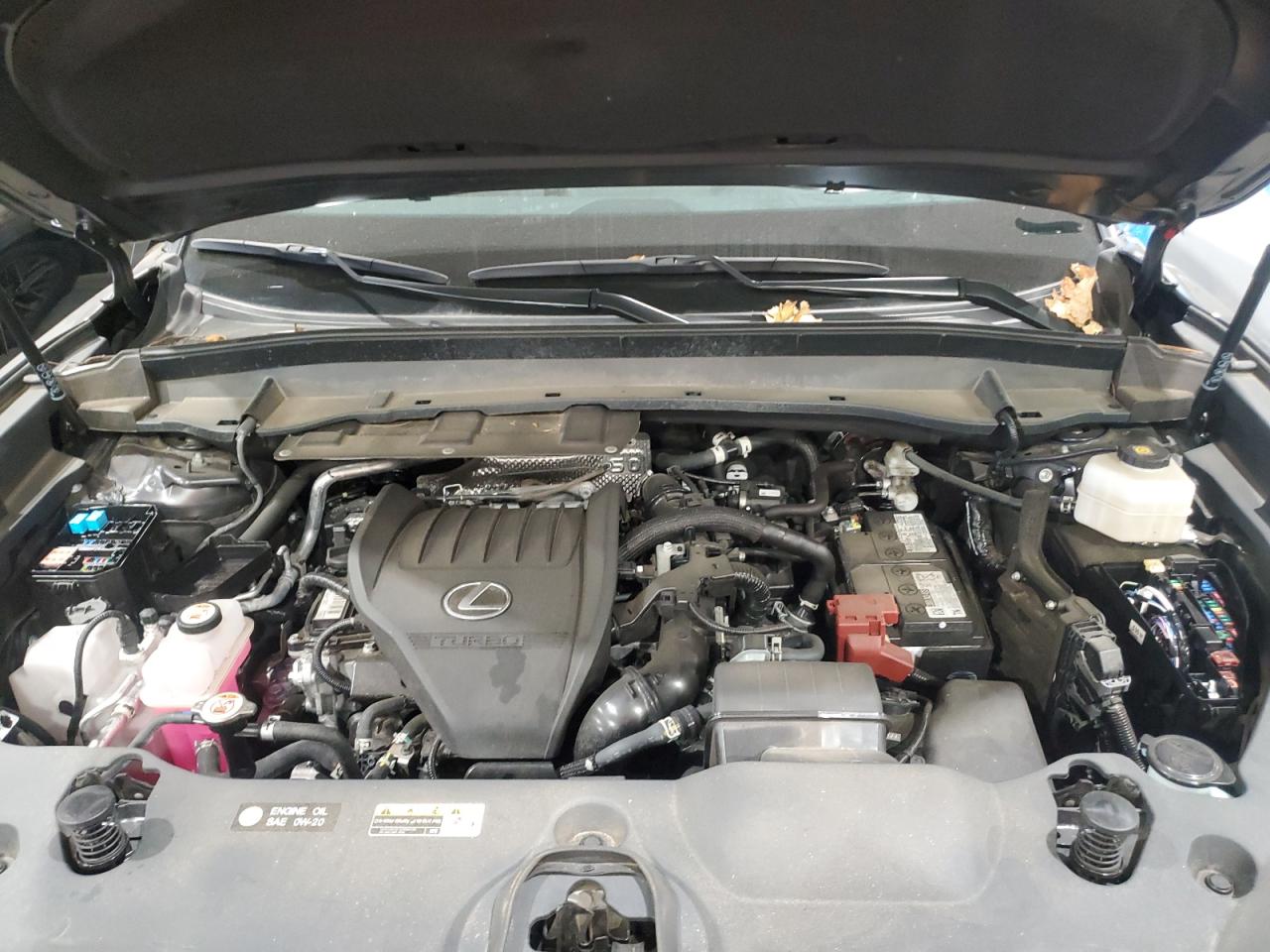 2024 Lexus Tx 350 Base VIN: 5TDAAAB68RS006518 Lot: 92183685