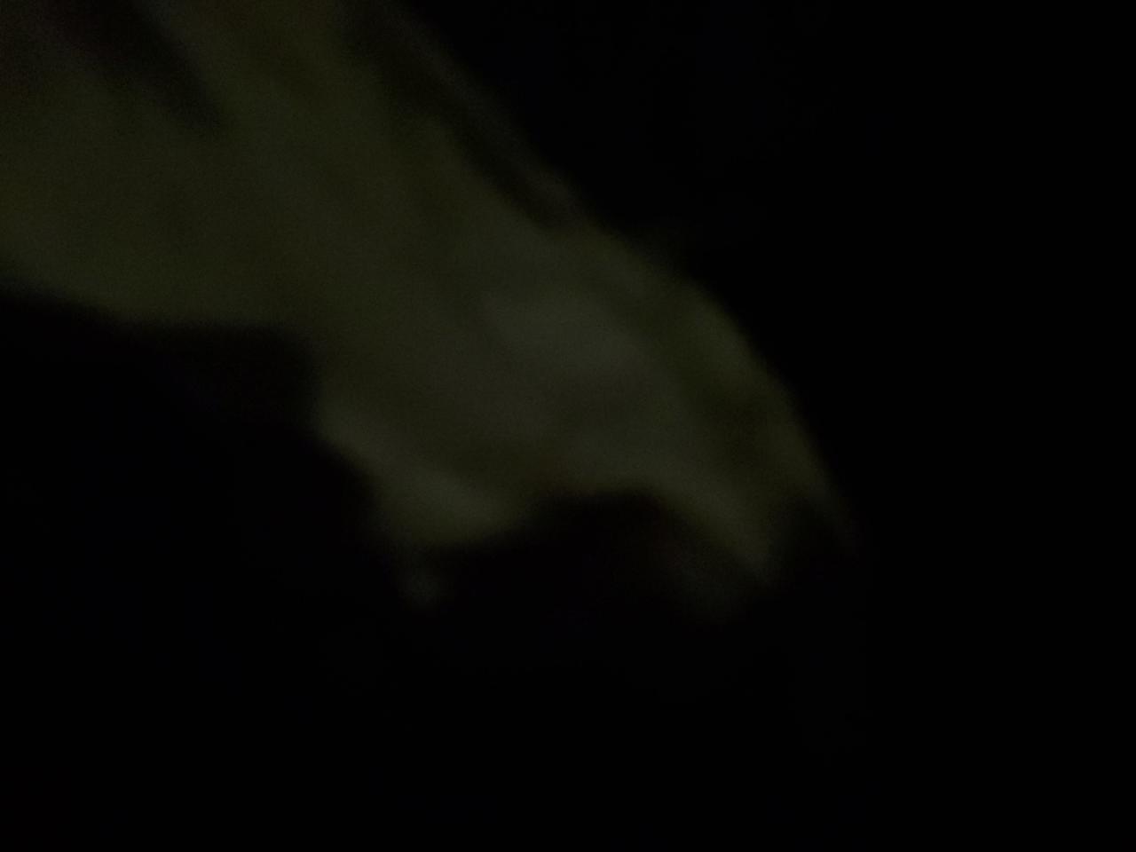 2024 Honda Civic Lx VIN: 2HGFE2F25RH535481 Lot: 86586795