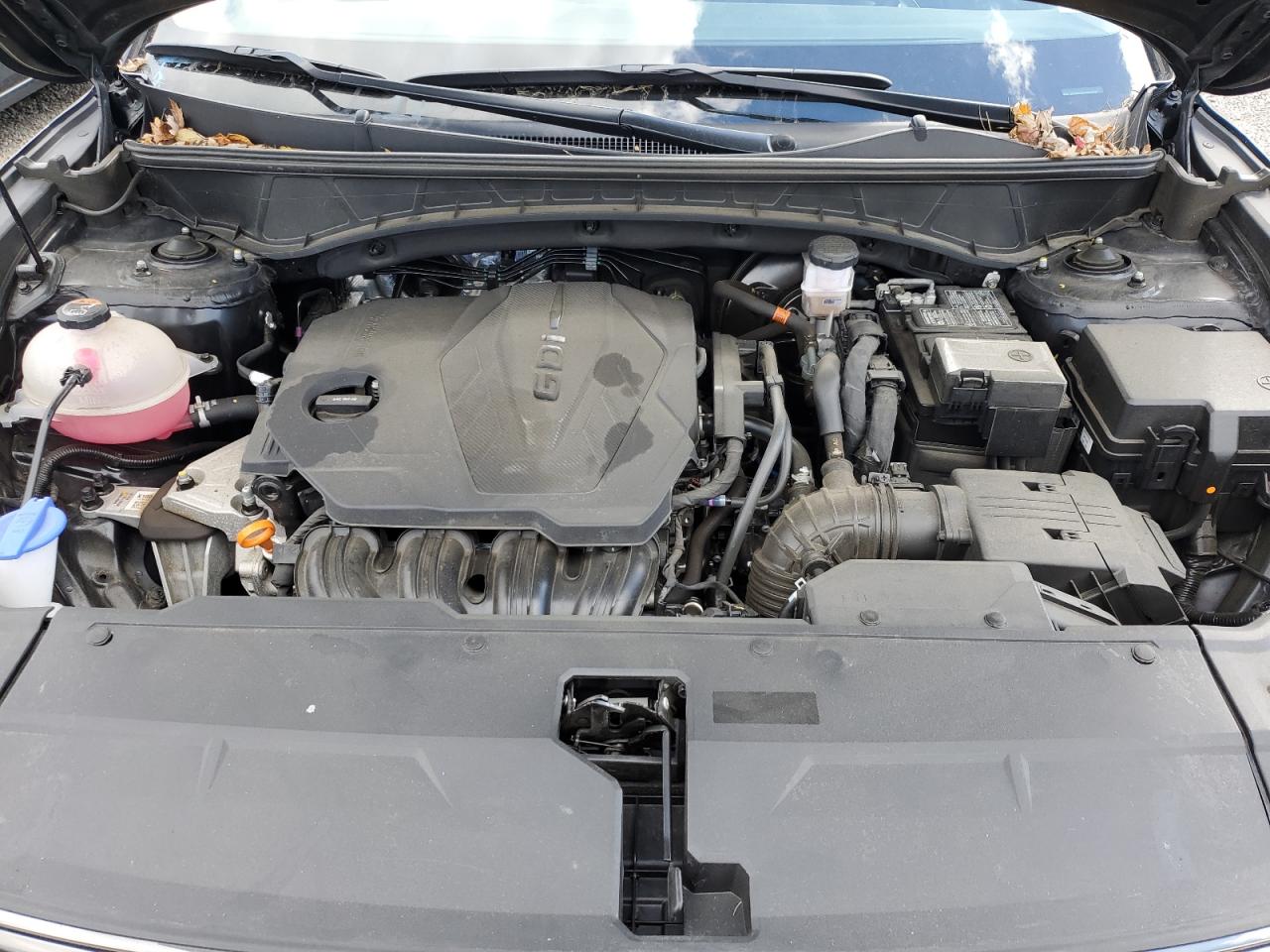 2024 Hyundai Tucson Limited VIN: 5NMJECDE1RH316758 Lot: 86164175