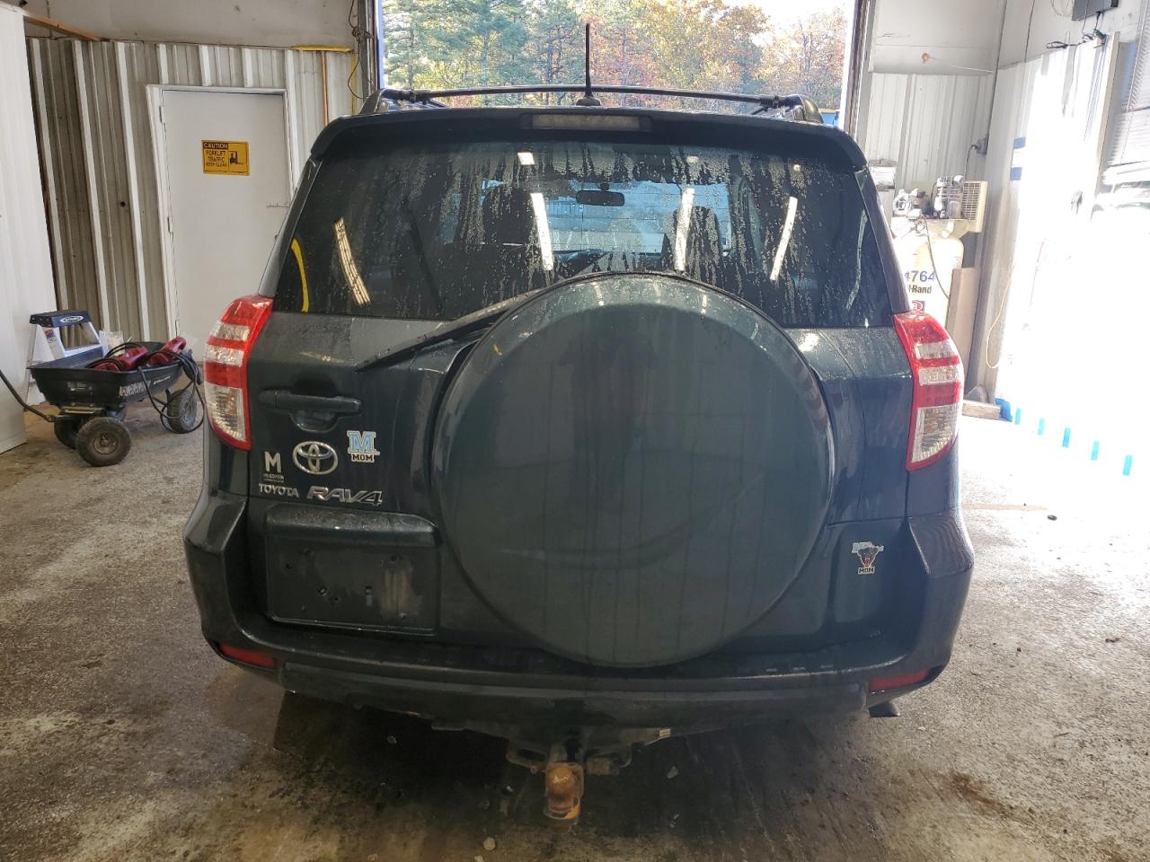 2009 Toyota Rav4 VIN: JTMZF33V19D007110 Lot: 89899175