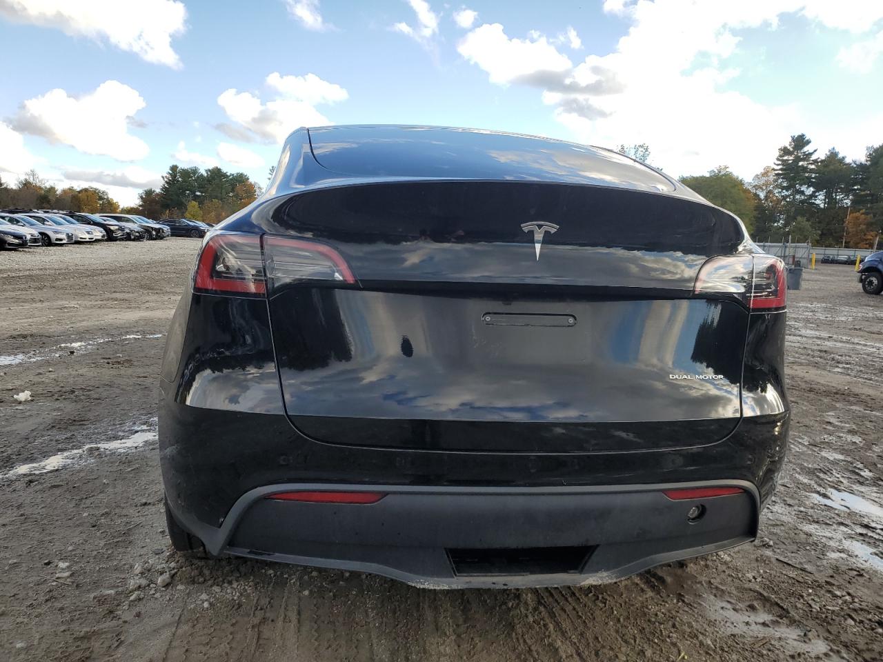 2025 Tesla Model Y VIN: 7SAYGDEE6SA351624 Lot: 86879385