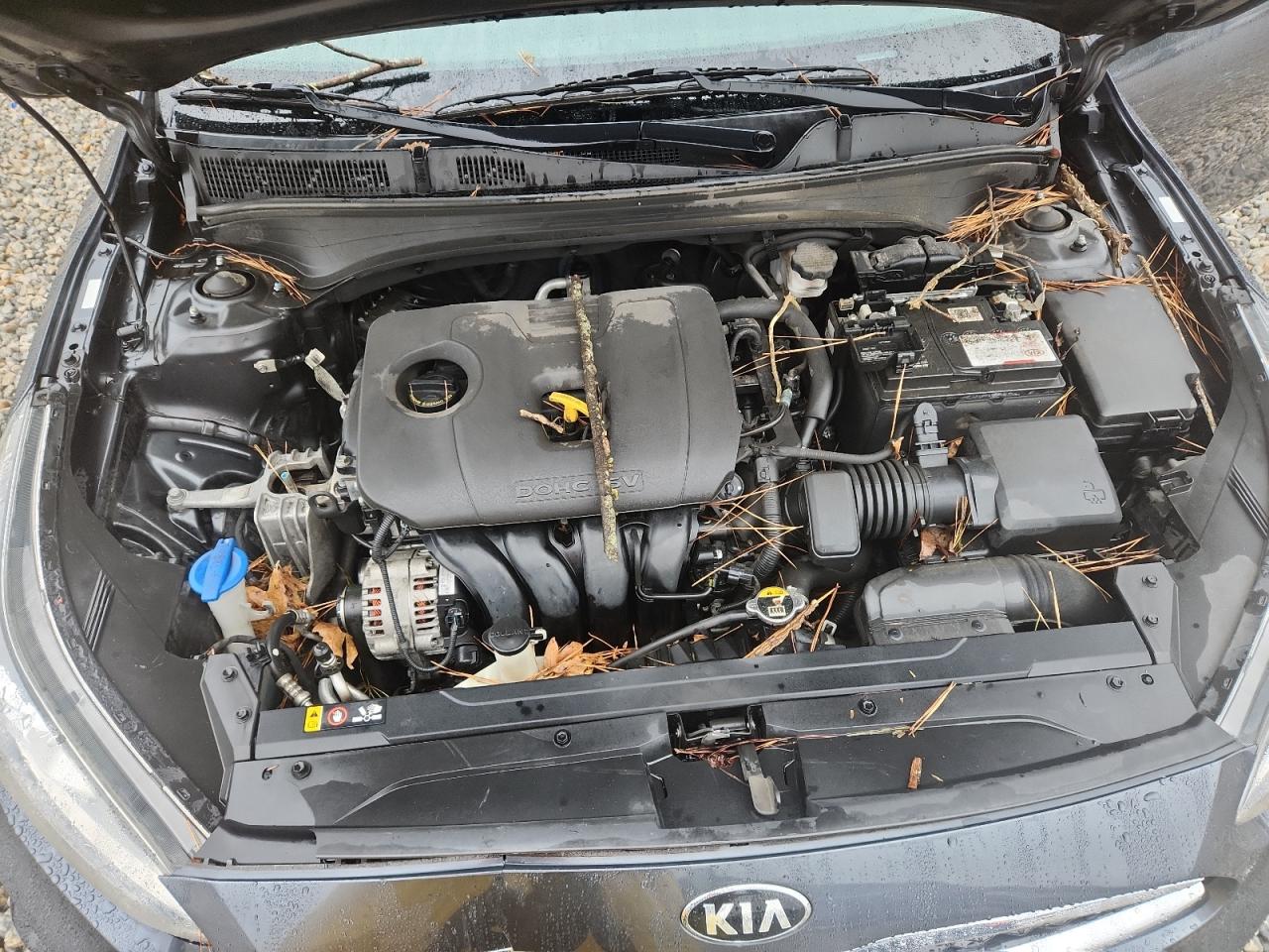 2019 Kia Forte Gt Line VIN: 3KPF34AD1KE037708 Lot: 90372775