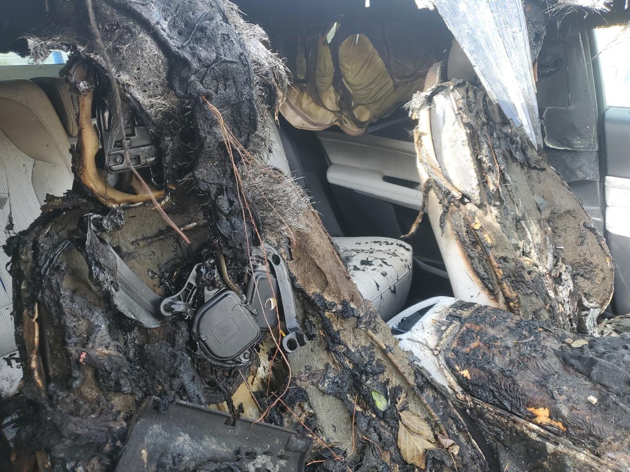 2025 Cadillac Lyriq Sport VIN: 1GYKPWRL9SZ311763 Lot: 85518175