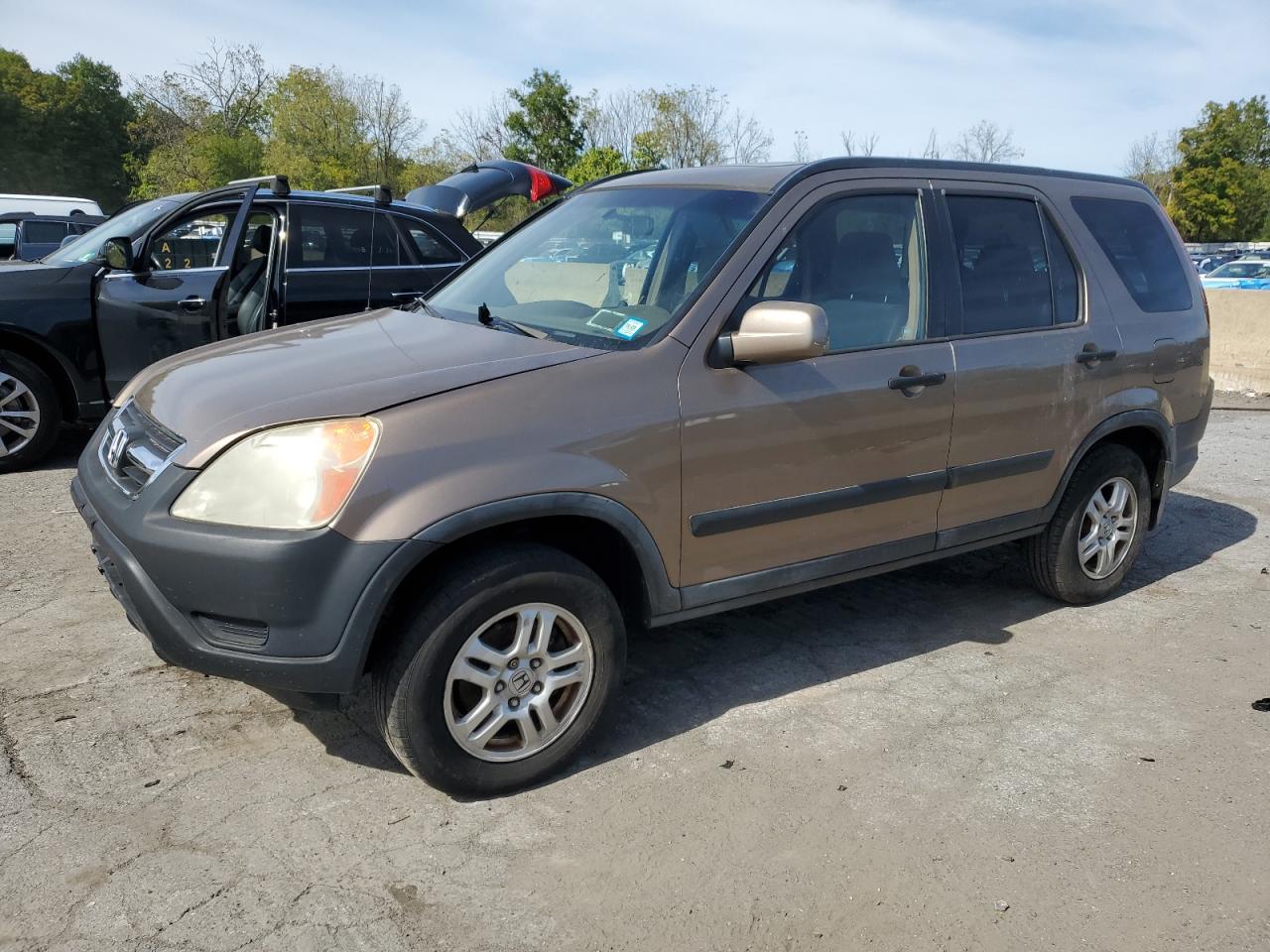 2004 Honda Cr-V Ex VIN: JHLRD78824C022880 Lot: 85090055