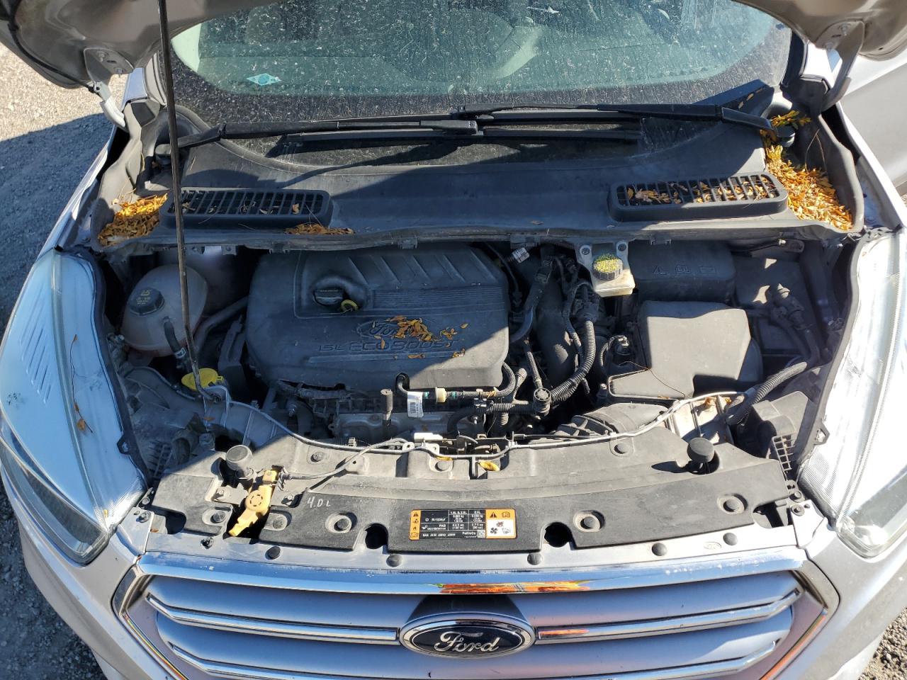 2017 Ford Escape Se VIN: 1FMCU0GD5HUB23707 Lot: 89873565