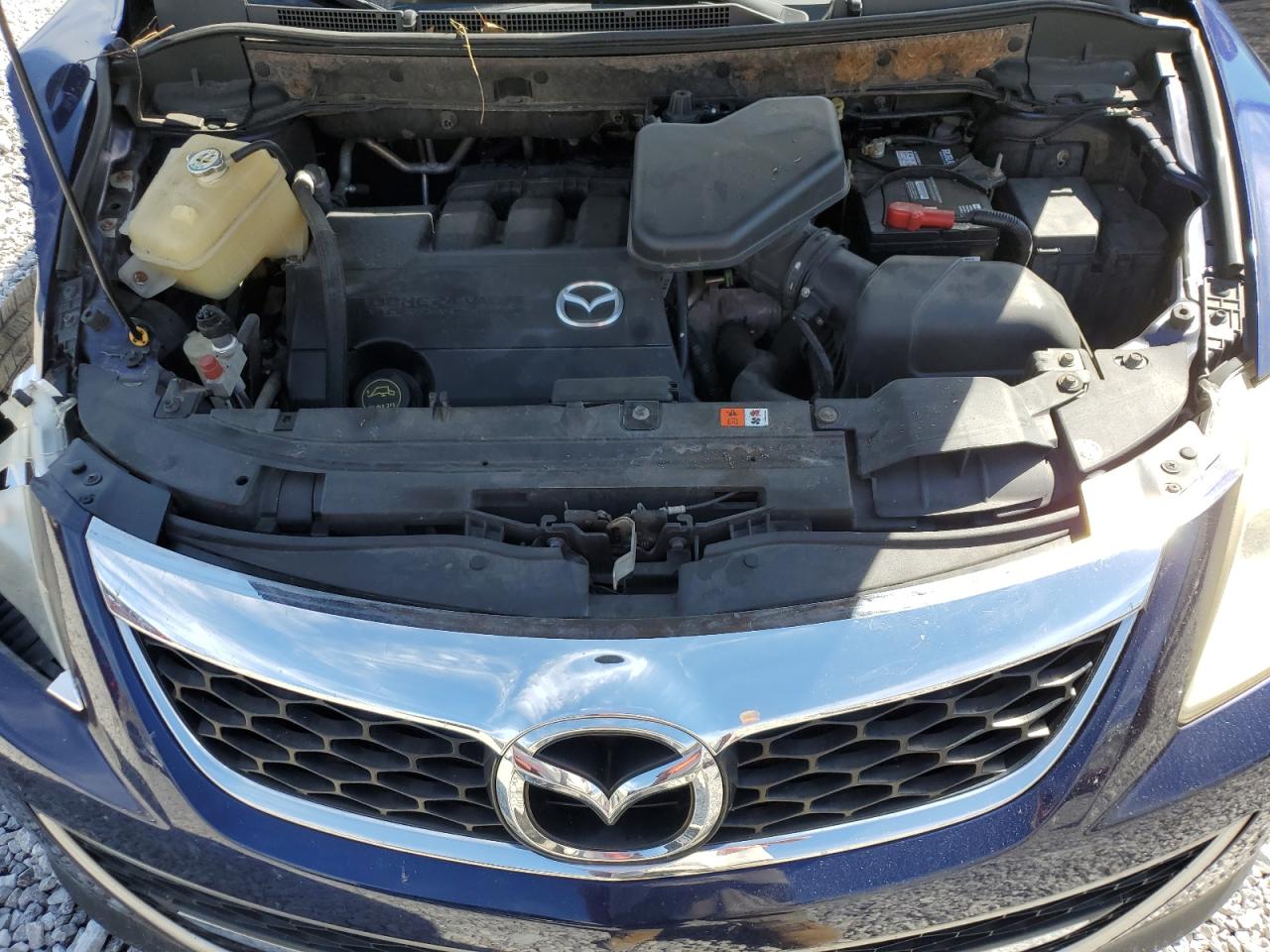 2010 Mazda Cx-9 VIN: JM3TB3MA4A0202828 Lot: 81956735