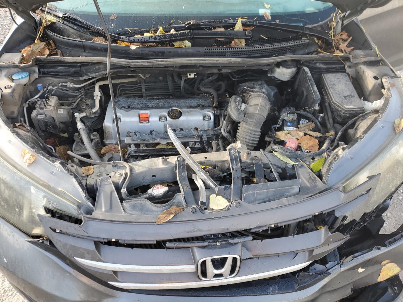 2014 Honda Cr-V Lx VIN: 2HKRM4H39EH614587 Lot: 82767145