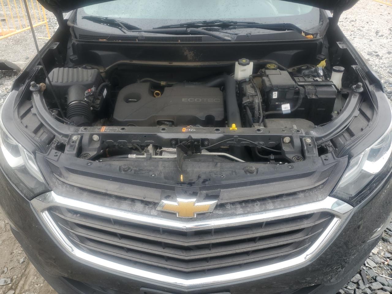 2018 Chevrolet Equinox Ls VIN: 2GNAXREV8J6219295 Lot: 82444505