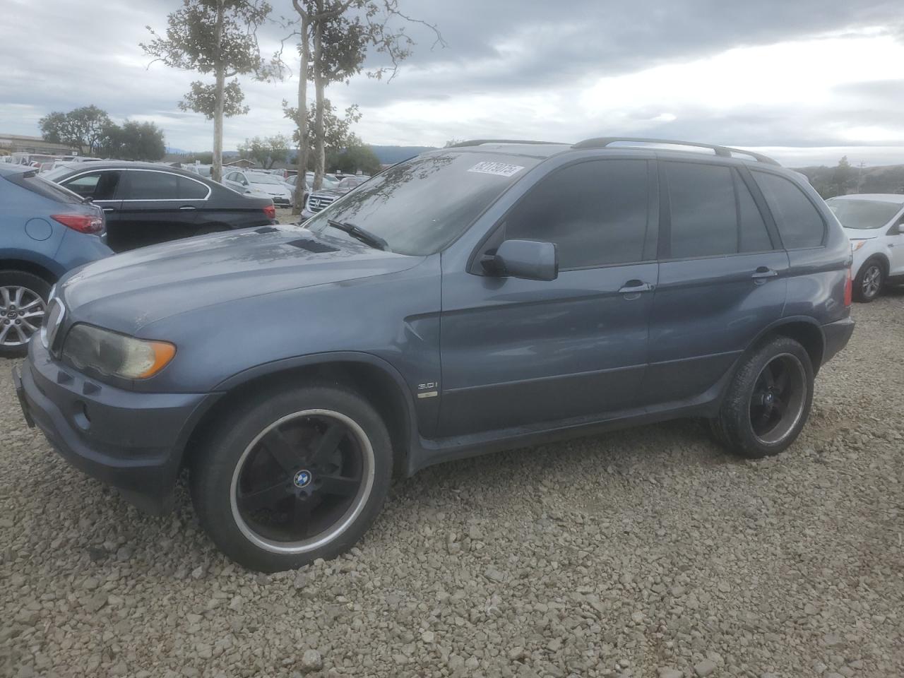 Фото: 5UXFA53552LP43426