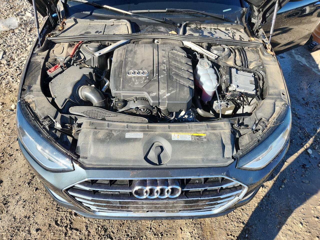 2021 Audi A4 Premium 40 VIN: WAUABAF42MN007035 Lot: 85528205