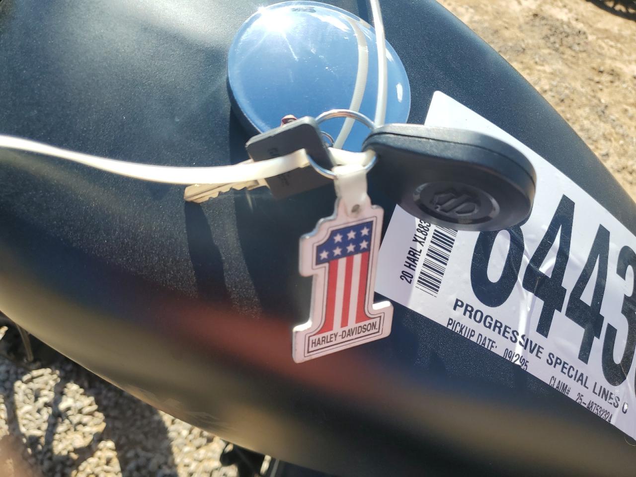 2020 Harley-Davidson Xl883 N VIN: 1HD4LE216LB424592 Lot: 84433465