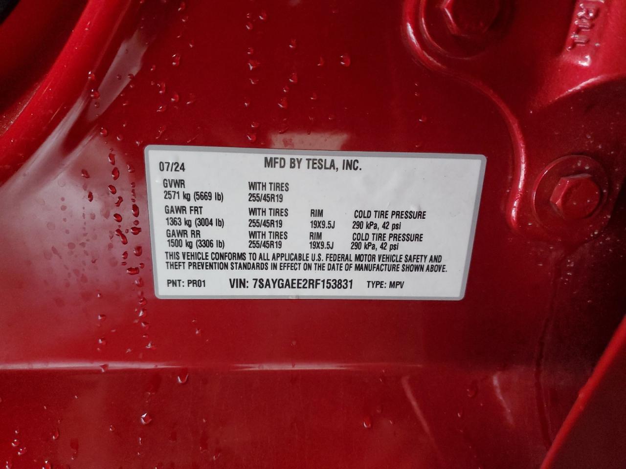 2024 Tesla Model Y VIN: 7SAYGAEE2RF153831 Lot: 84552935