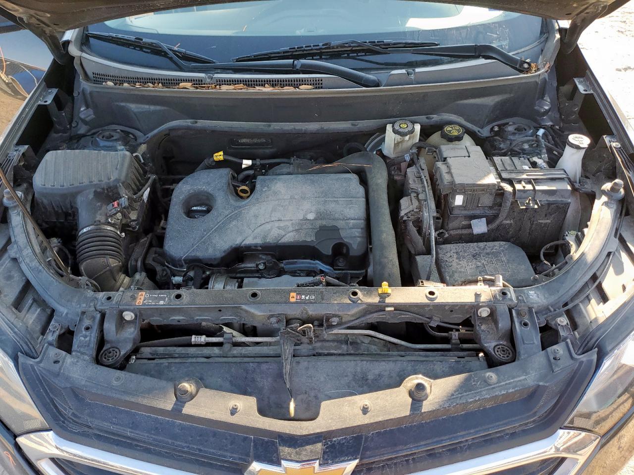 2019 Chevrolet Equinox Ls VIN: 2GNAXHEV4K6166154 Lot: 84978925