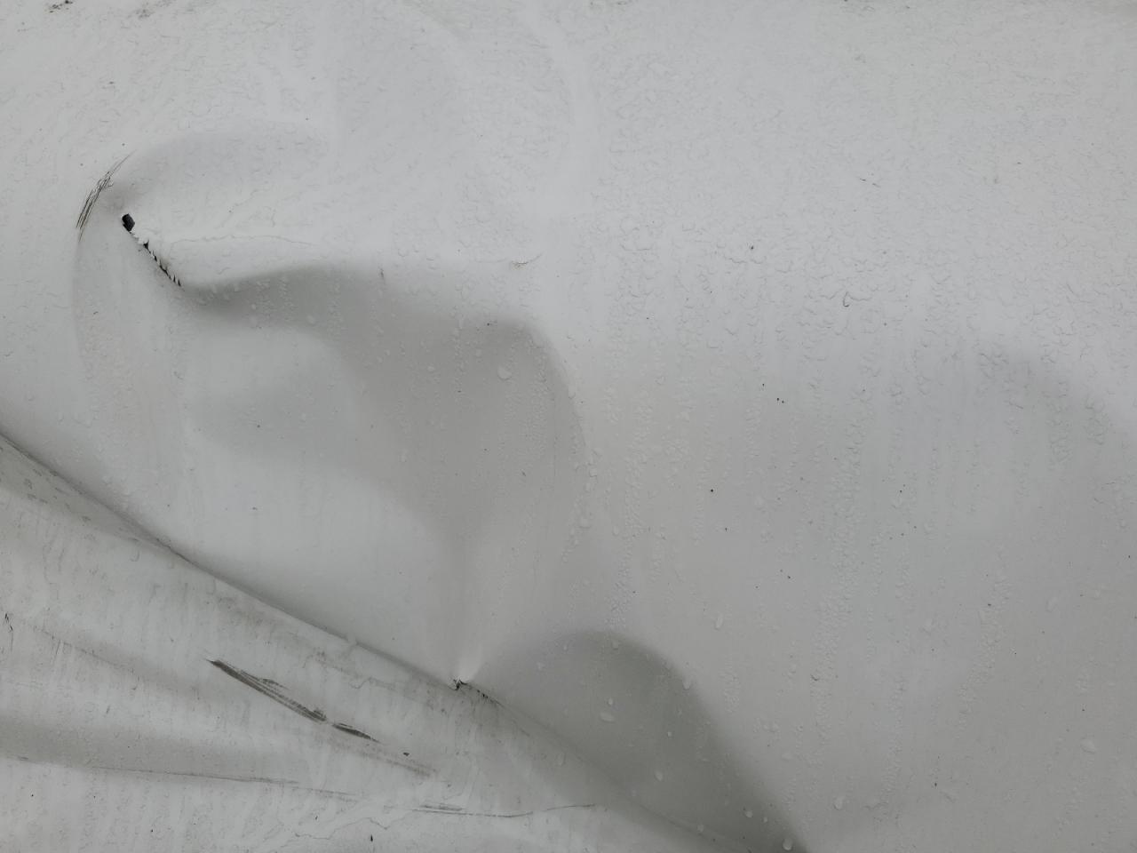 2008 Acura Tsx VIN: JH4CL96848C005961 Lot: 85096035