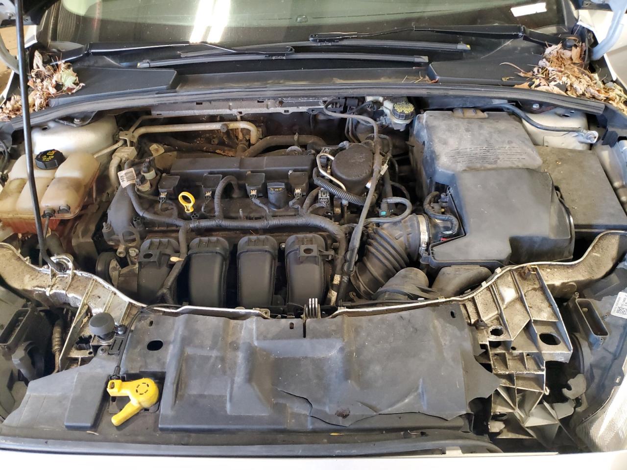 2016 Ford Focus Se VIN: 1FADP3F21GL317517 Lot: 85697855