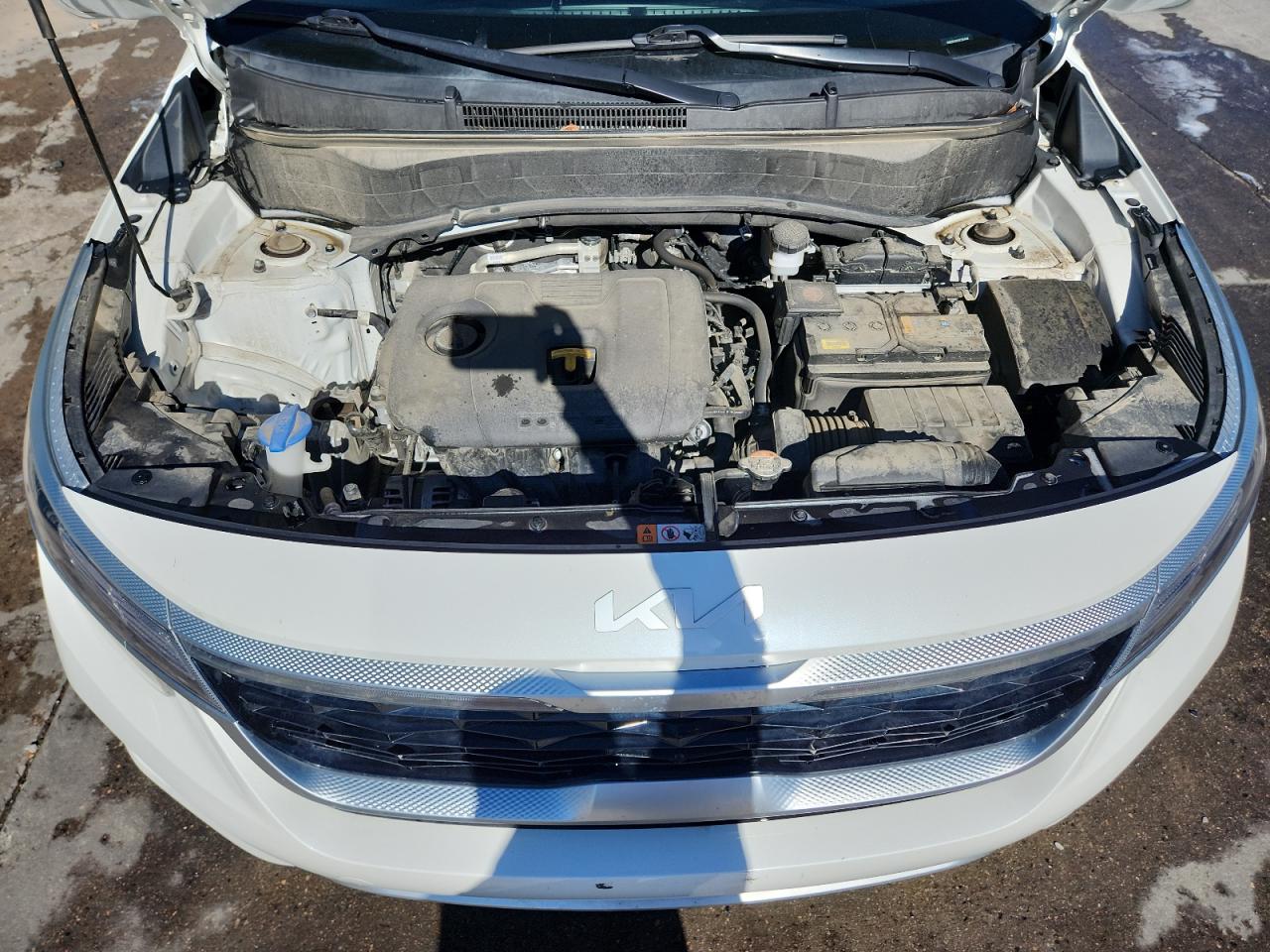 2022 Kia Seltos Ex VIN: KNDERCAA5N7294448 Lot: 87298455