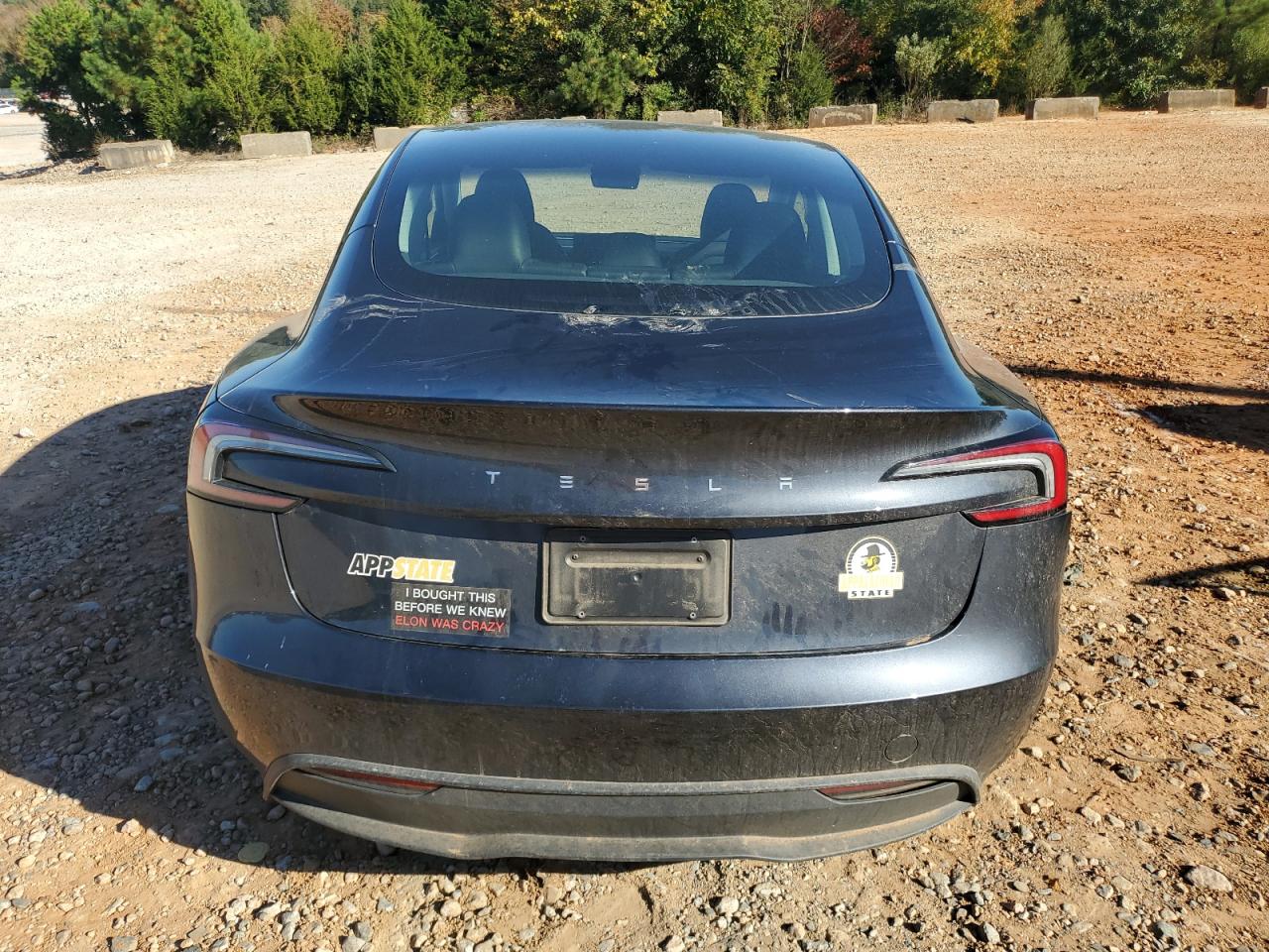 2024 Tesla Model 3 VIN: 5YJ3E1EA2RF732361 Lot: 82626045