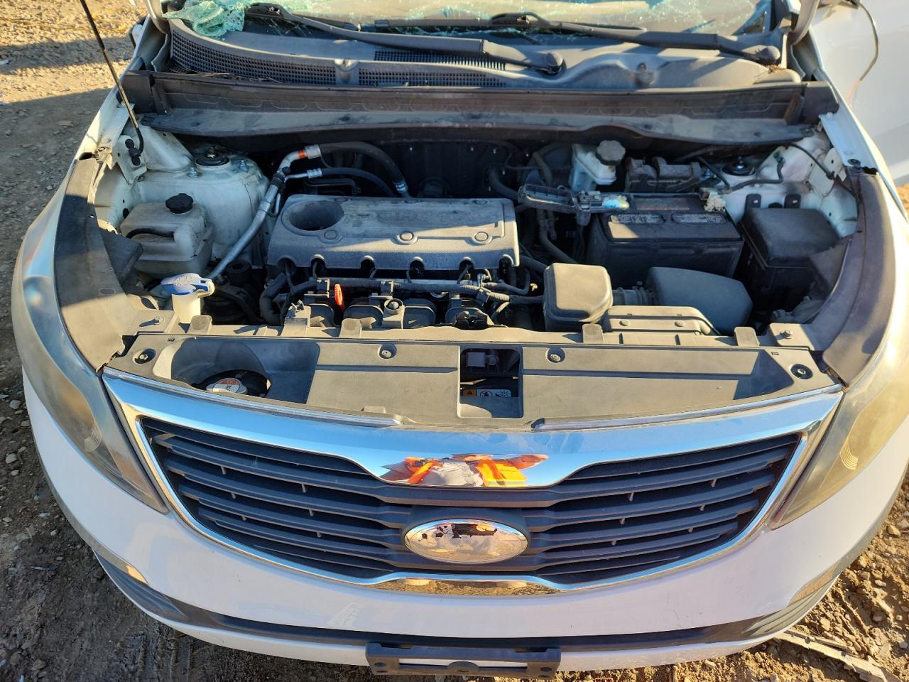 2013 Kia Sportage Base VIN: KNDPB3A2XD7529088 Lot: 82381955