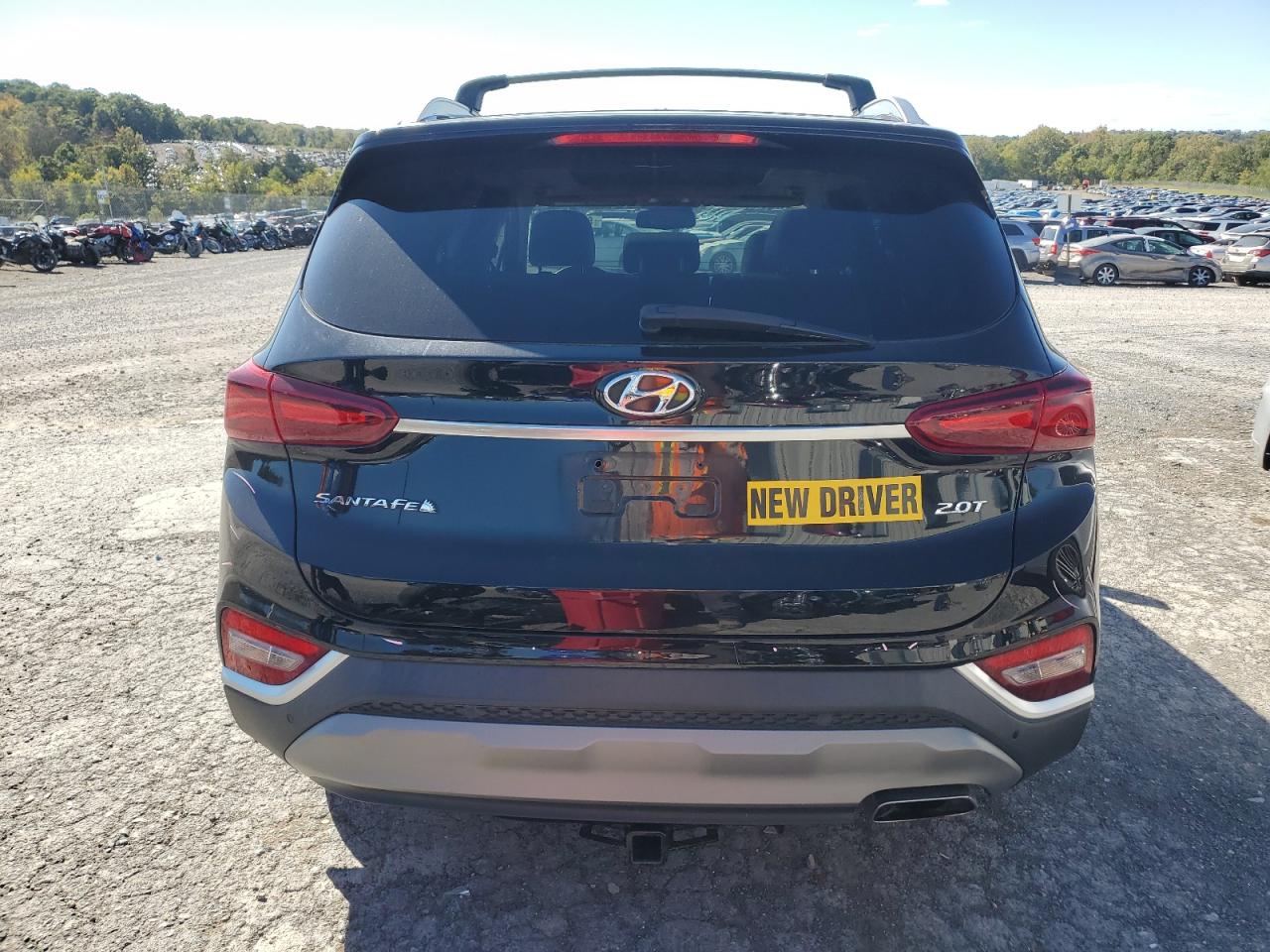 2020 Hyundai Santa Fe Sel VIN: 5NMS33AAXLH281348 Lot: 82246465