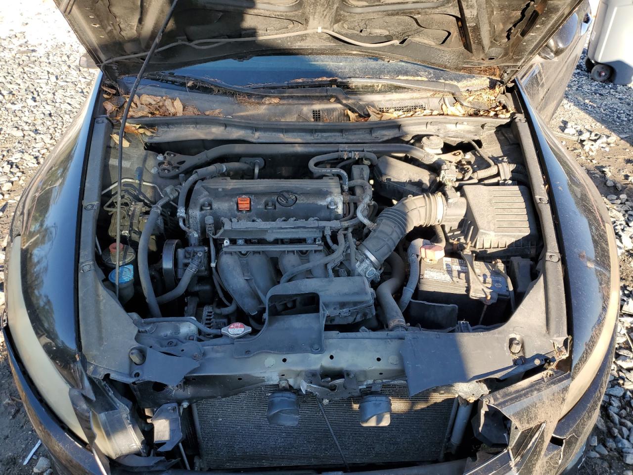 2010 Honda Accord Exl VIN: 1HGCS1B83AA012060 Lot: 82205225