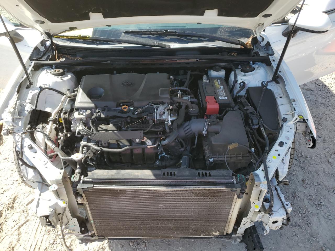 2020 Toyota Camry Le VIN: 4T1C11AK3LU384851 Lot: 82399495