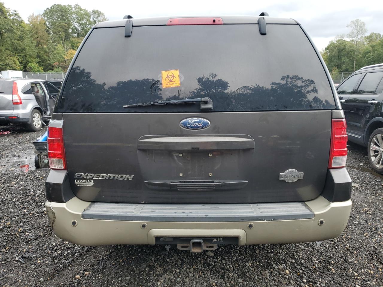 2005 Ford Expedition Eddie Bauer VIN: 1FMFU185X5LB02900 Lot: 85716405