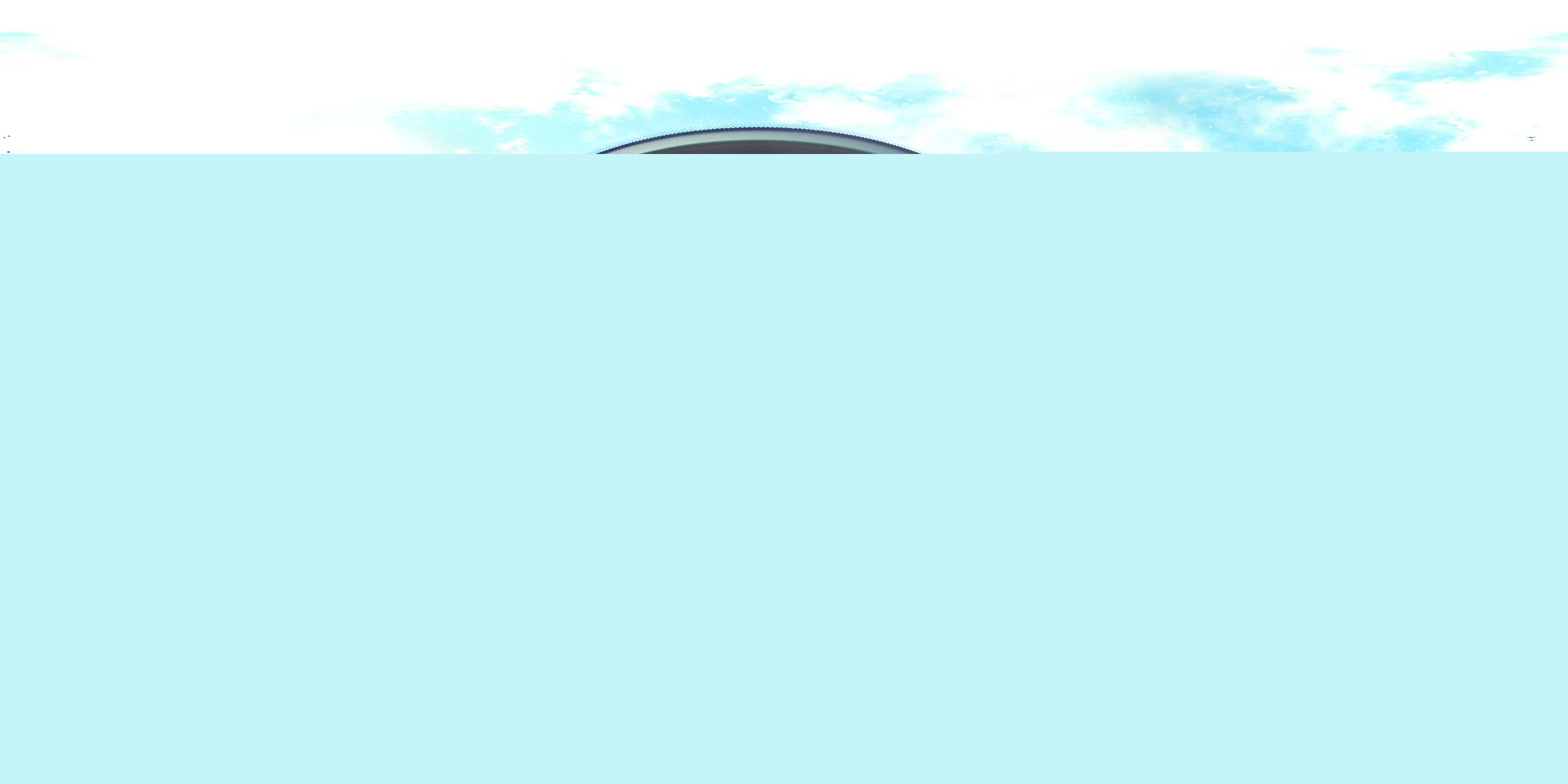 Фото: 5UX43DT0XN9L49924