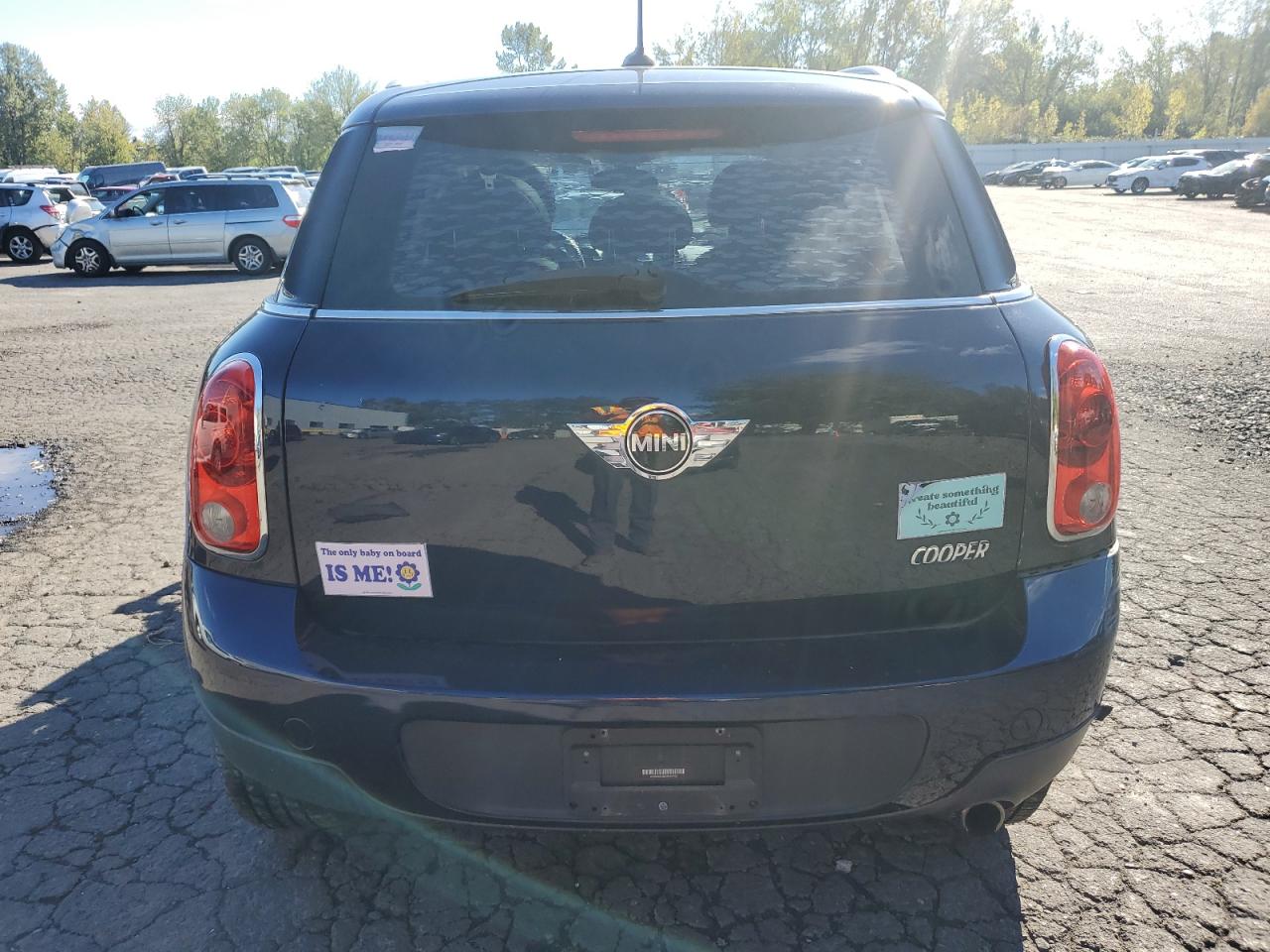 2013 Mini Cooper Countryman VIN: WMWZB3C58DWM07722 Lot: 82450775