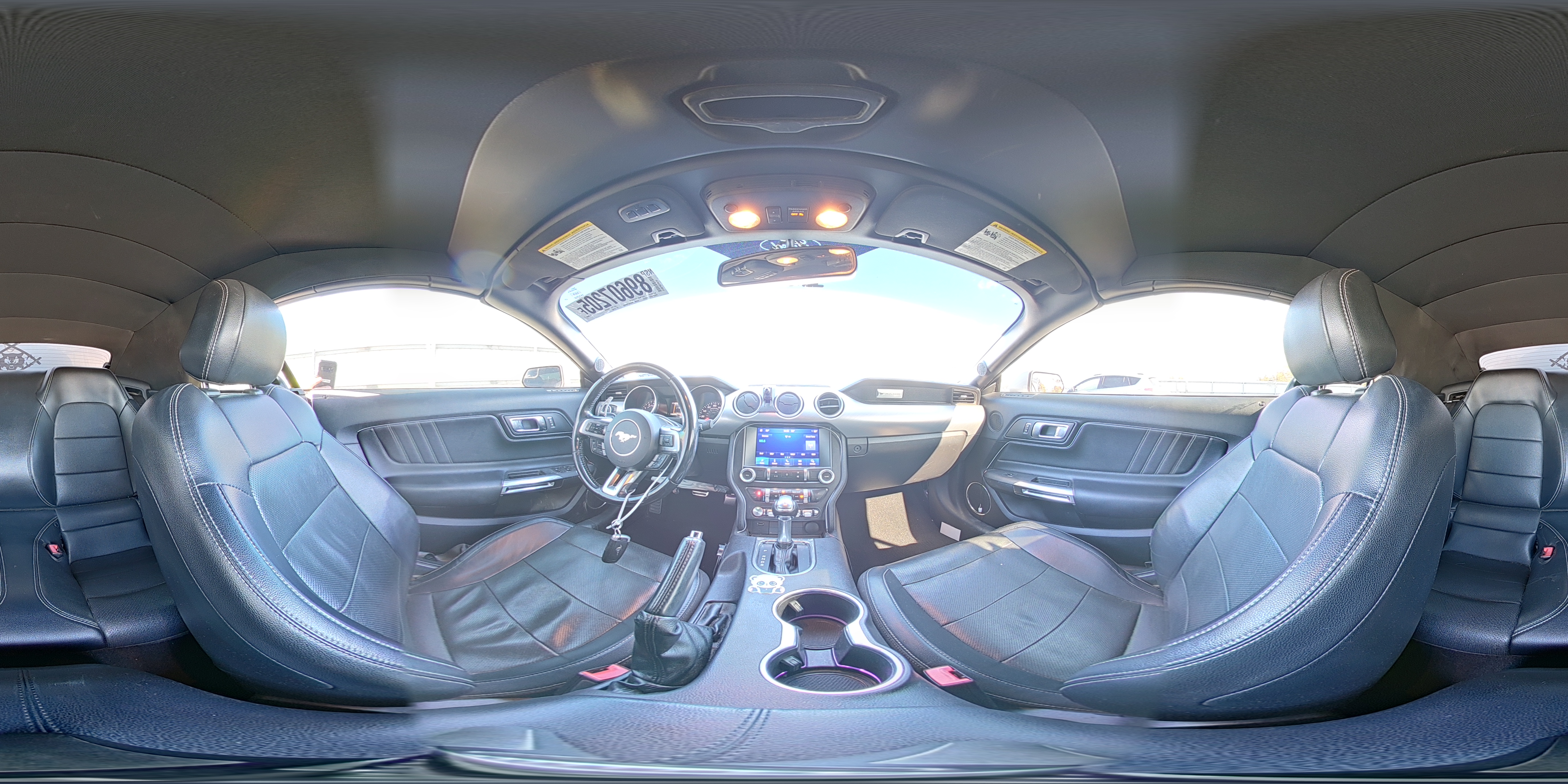 2019 Ford Mustang VIN: 1FATP8UH8K5161506 Lot: 89607205