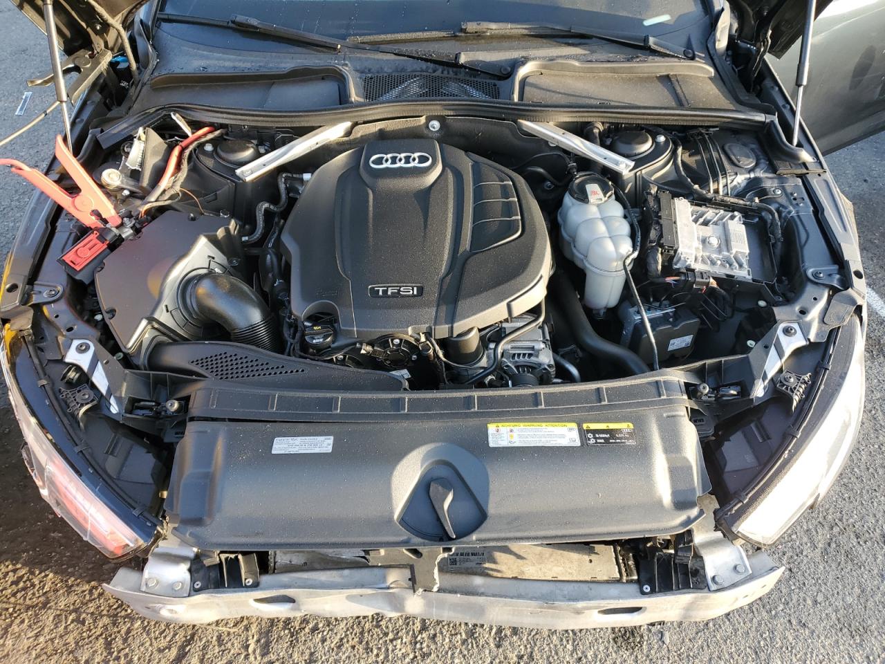 2019 Audi A4 Premium Plus VIN: WAUENAF43KN013366 Lot: 84945315