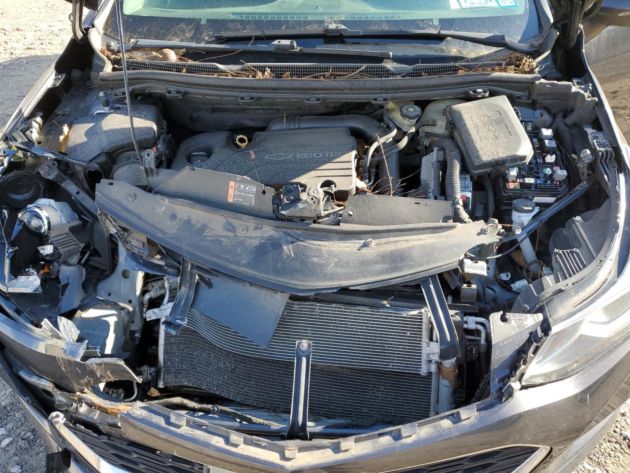 2016 Chevrolet Cruze Lt VIN: 1G1BE5SM4G7274531 Lot: 82622025