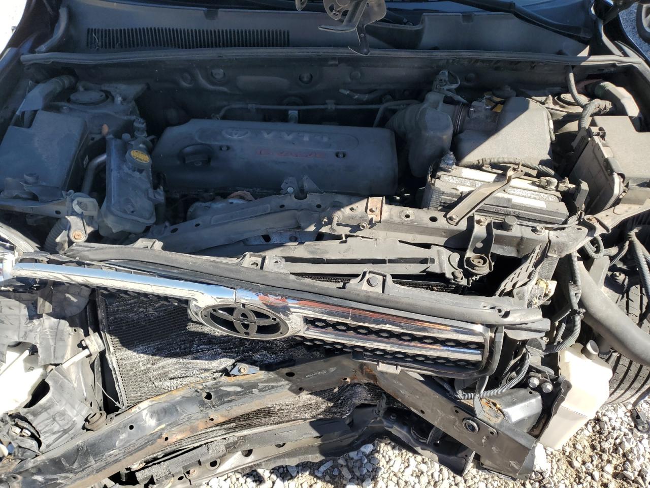 2008 Toyota Rav4 Limited VIN: JTMZD31V785096019 Lot: 89491255