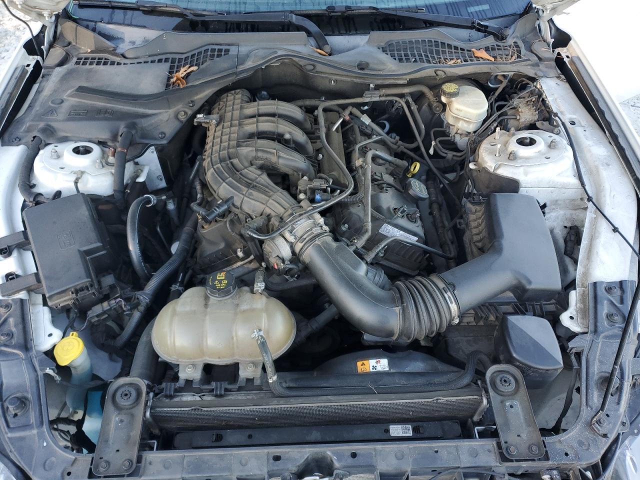 2016 Ford Mustang VIN: 1FA6P8AM4G5250897 Lot: 82430305