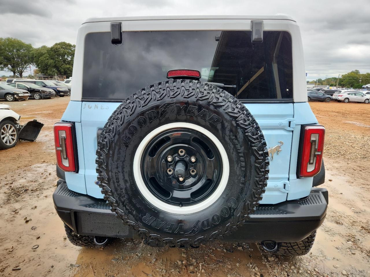 2023 Ford Bronco Heritage Limited VIN: 1FMEE4GP3PLA71036 Lot: 85208145