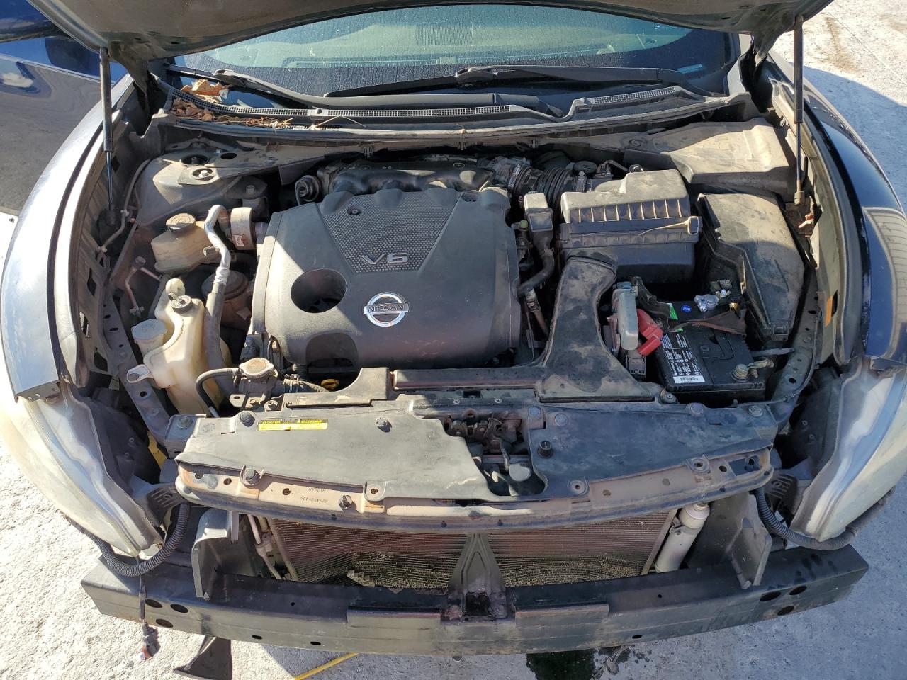 2009 Nissan Maxima S VIN: 1N4AA51E79C834681 Lot: 89820145