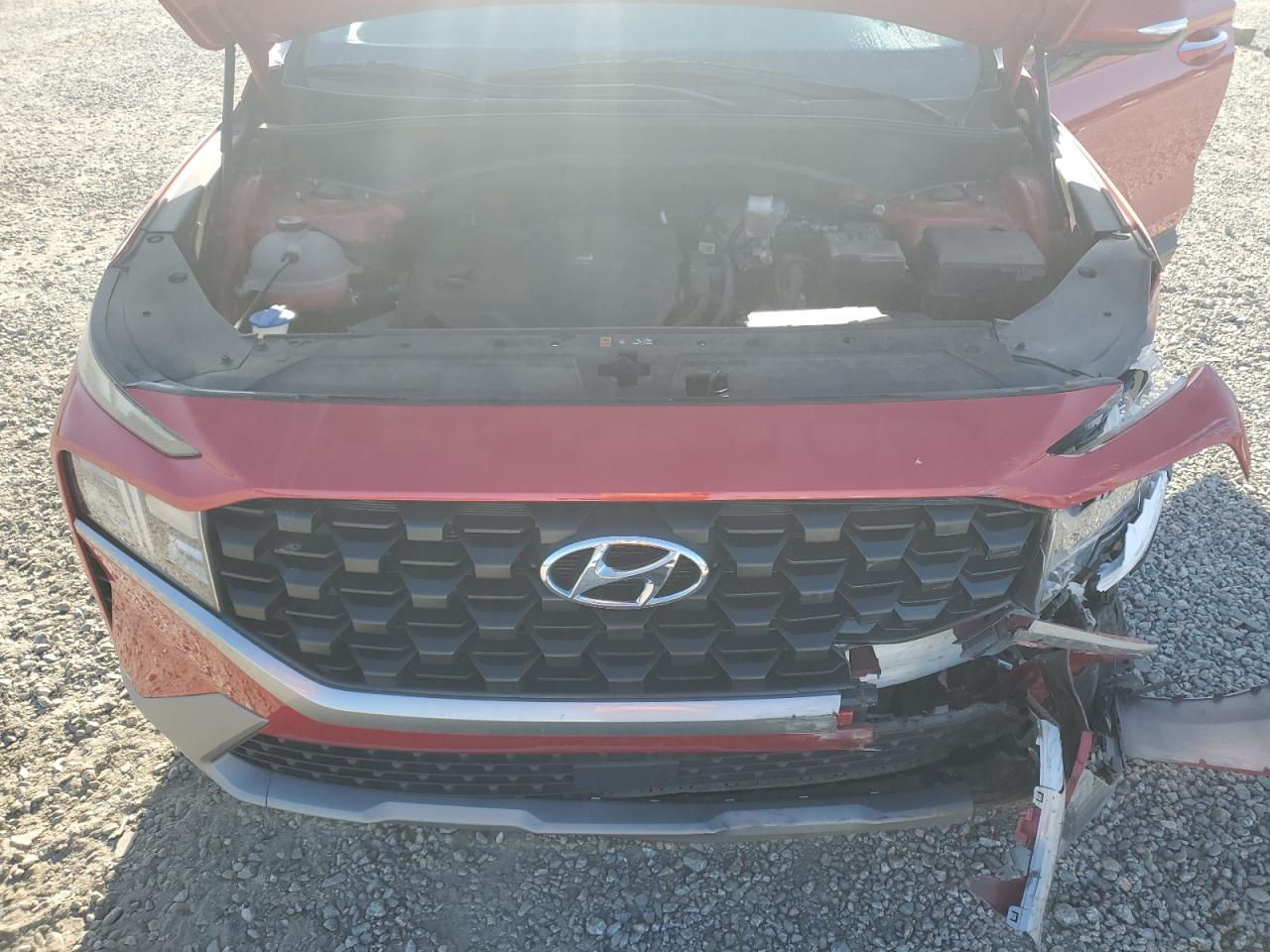 2023 Hyundai Santa Fe Sel VIN: 5NMS2DAJ5PH501493 Lot: 84966055