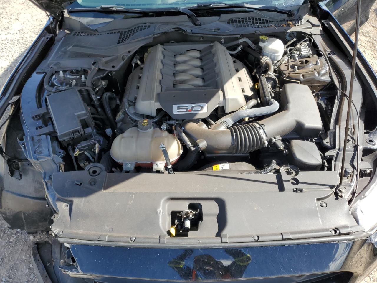 2017 Ford Mustang Gt VIN: 1FA6P8CF7H5321865 Lot: 86710395