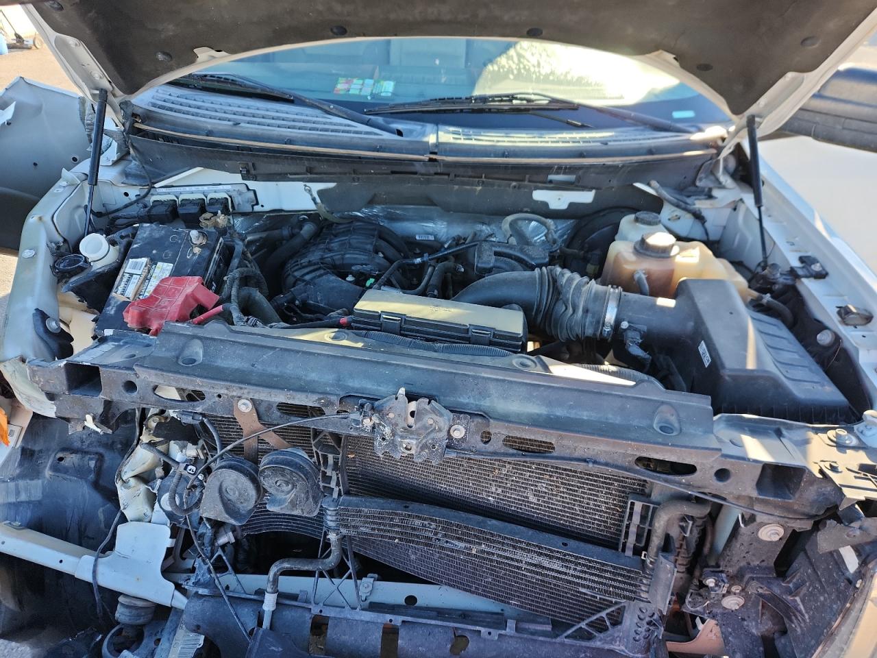 2013 Ford F150 VIN: 1FTMF1CMXDKE46400 Lot: 85738525