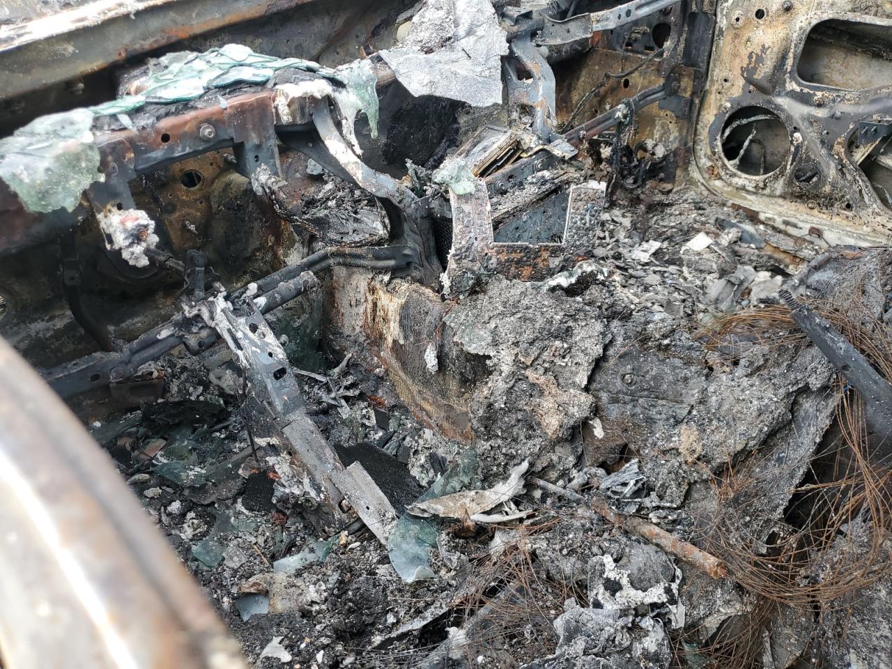 2017 Ford Mustang VIN: 1FA6P8AMXH5255345 Lot: 85514545