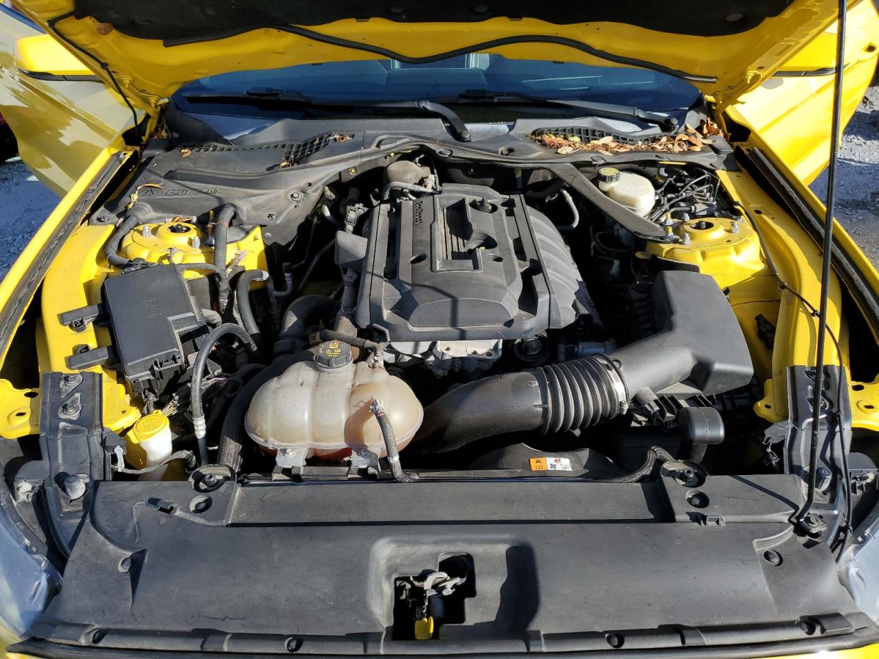 2017 Ford Mustang VIN: 1FA6P8TH4H5208716 Lot: 81965365